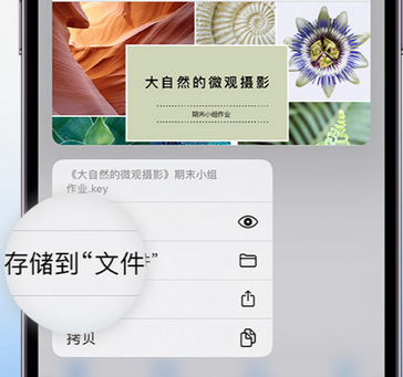 西和apple维修中心分享iPhone文件应用中存储和找到下载文件