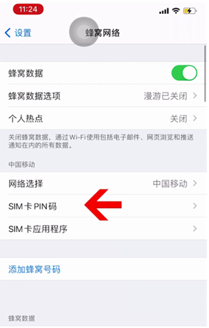 西和苹果14维修网分享如何给iPhone14的SIM卡设置密码 