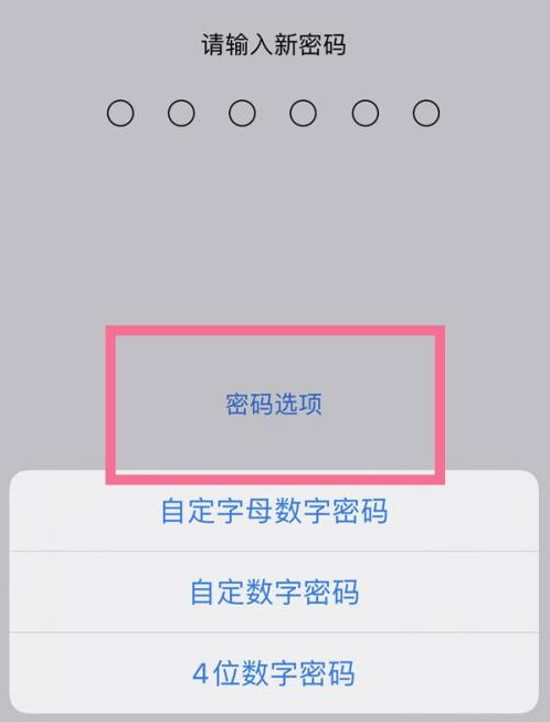 西和苹果14维修分享iPhone 14plus设置密码的方法 