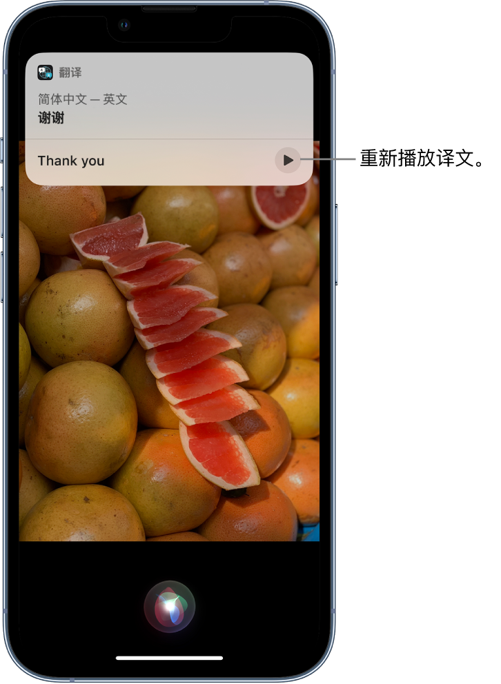 西和苹果14维修分享 iPhone 14 机型中使用 Siri：了解 Siri 能帮你做什么 