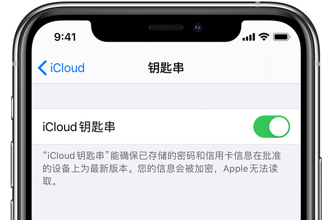 西和苹果手机维修分享在 iPhone 上开启 iCloud 钥匙串之后会储存哪些信息 