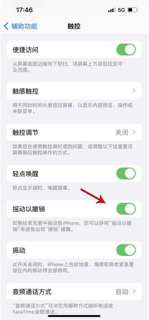 西和苹果手机维修分享iPhone手机如何设置摇一摇删除文字 